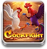 Cockfight