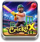 Cricket X