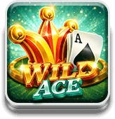 Wild Ace